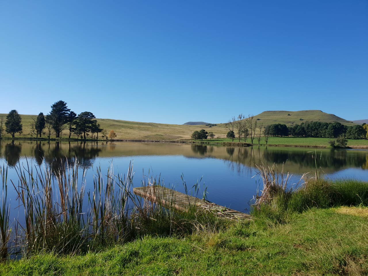 Fly Fishing at Invermooi Estate The Finest KZN Fly Fishing Experience